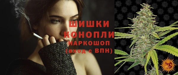 PSILOCYBIN Богданович